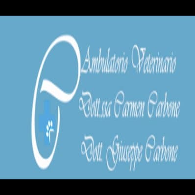Ambulatorio Veterinario Carbone - Immagine 2