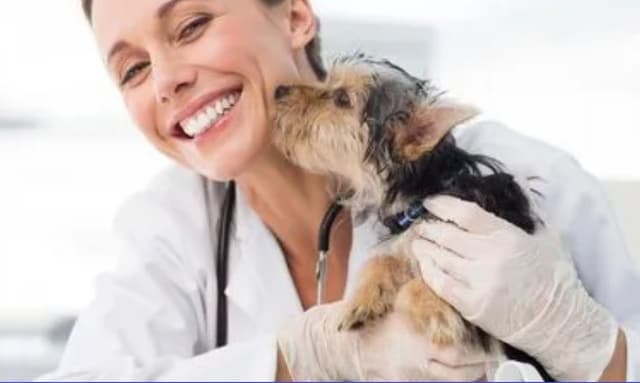 Ambulatorio Veterinario Casa del Cane - Immagine 2