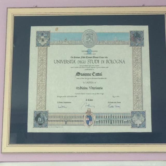 Ambulatorio Veterinario Cattai Dott.ssa Susanne - Immagine 1