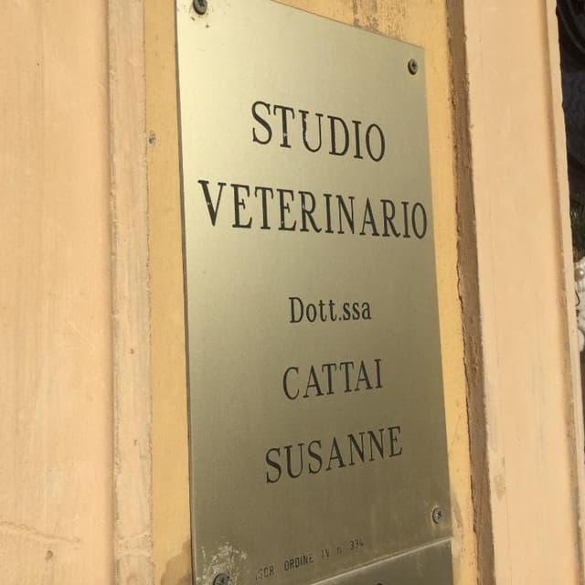 Ambulatorio Veterinario Cattai Dott.ssa Susanne - Immagine 2