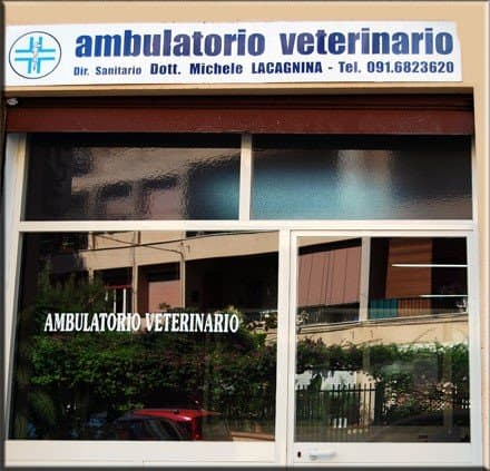 Ambulatorio Veterinario Dott Michele Lacagnina - Immagine 2