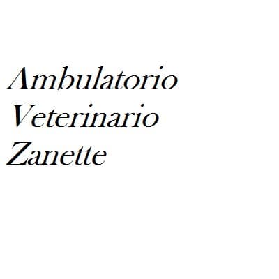 Ambulatorio Veterinario Dott.ssa Laura Zanette - Immagine 1