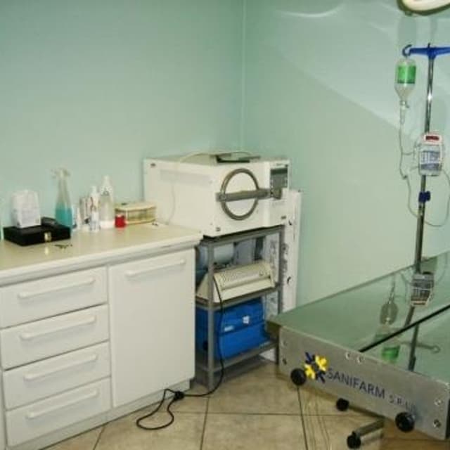 Ambulatorio Veterinario Dott.ssa Veronica Turla - Immagine 2