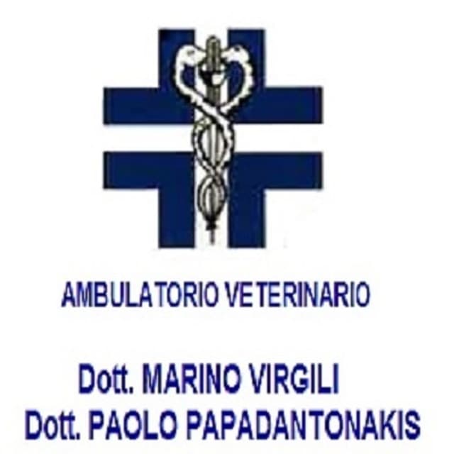 Ambulatorio Veterinario Dr. Marino Virgili e Dr. Paolo Papadantonakis - Immagine 1
