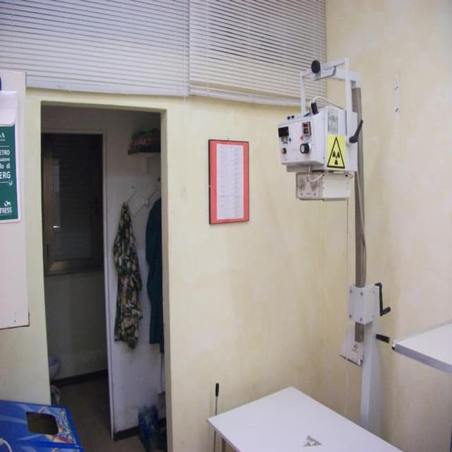 Ambulatorio Veterinario Dr. Marino Virgili e Dr. Paolo Papadantonakis - Immagine 2