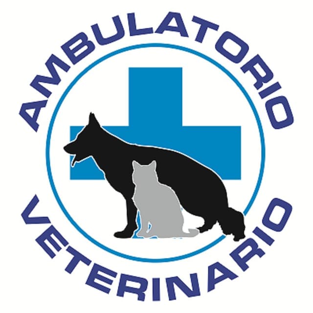Ambulatorio Veterinario La Nave - Frattocchie/ Marino - Immagine 1
