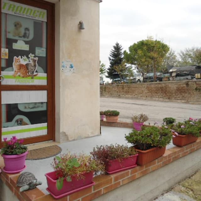Ambulatorio Veterinario Le Coccinelle - Immagine 1