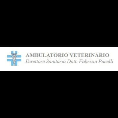 Ambulatorio Veterinario Pacelli Dr. Fabrizio - Immagine 1
