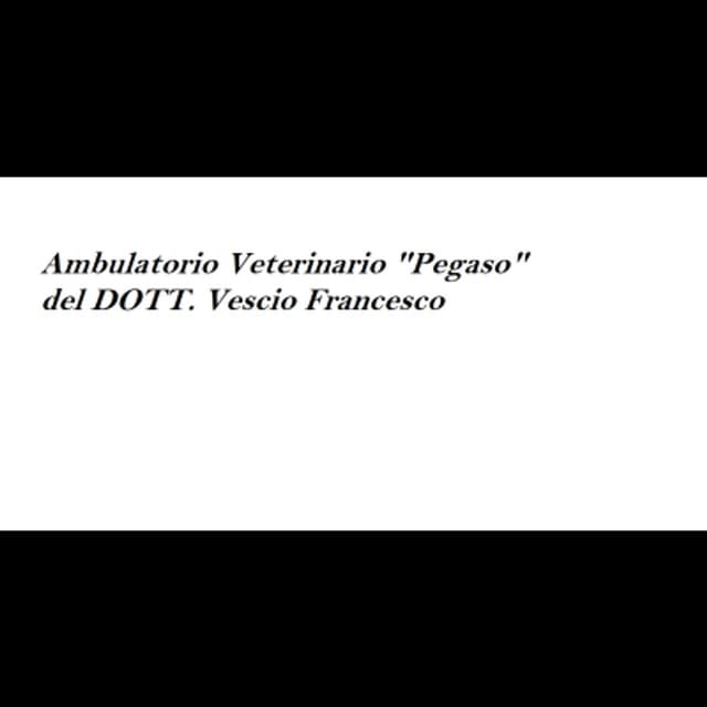 Ambulatorio Veterinario "Pegaso" del Dott. Vescio Francesco - Immagine 1