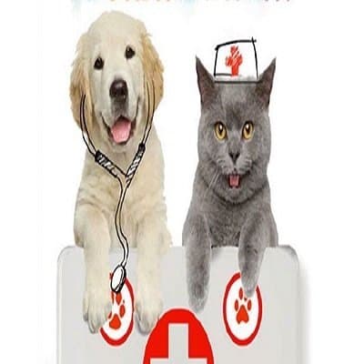Ambulatorio Veterinario San Rocco - Dott. di Fabrizio Lamberto - Immagine 1