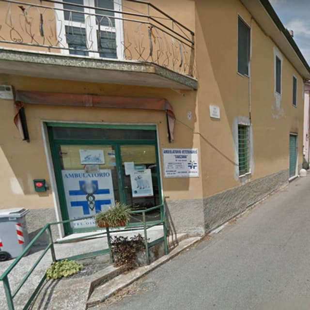 Ambulatorio Veterinario Sarzana di Maggiani Laura e C. S.a.s - Immagine 1