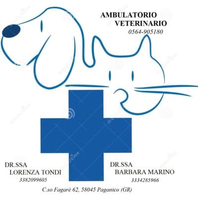 Ambulatorio Veterinario Tondi Dr.ssa Lorenza e Marino Dott.ssa Barbara - Immagine 2