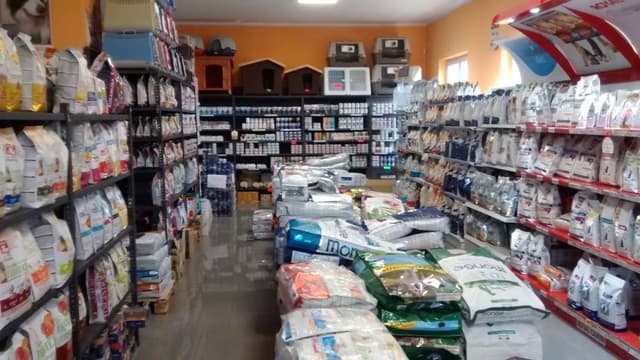 Amico Animale - Immagine 1