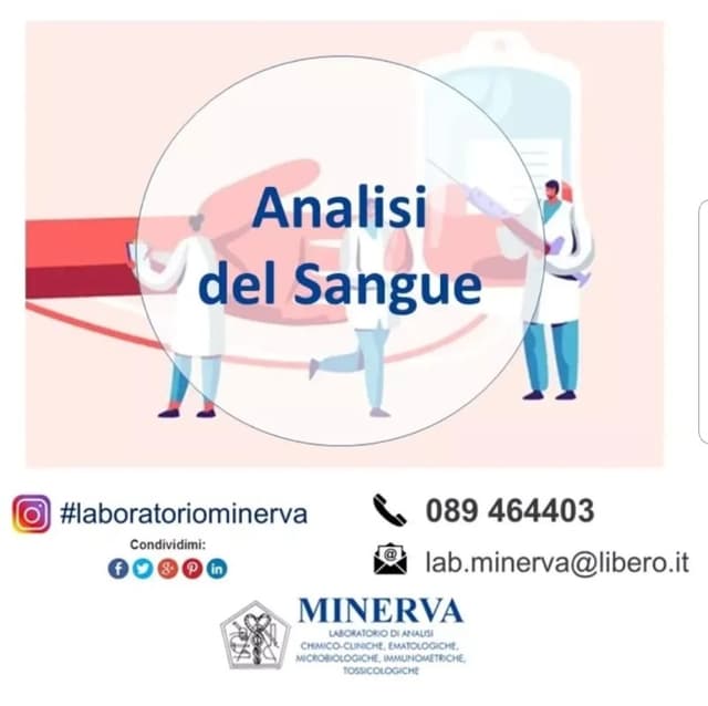 Analisi Cliniche Minerva - Immagine 2