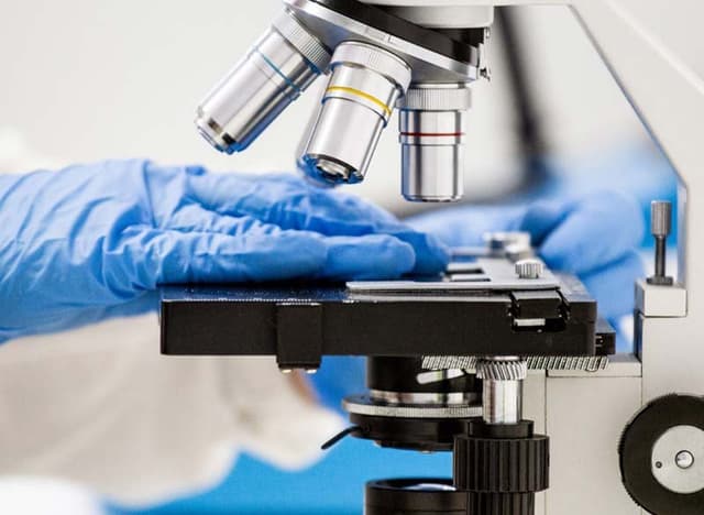 Analysis Service - Immagine 2