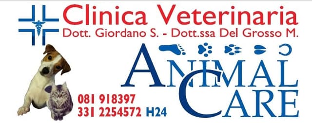 Animal Care Clinica Veterinaria - Immagine 1