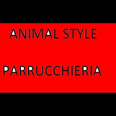 Animal Style Parrucchieria di Baldassarri Daniela - Immagine 2