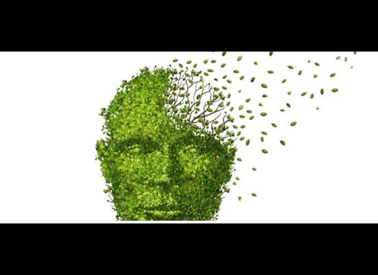 Antonello Chiacchio Psicologo - Psicoterapeuta - Immagine 2