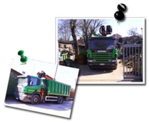 Ara Rino - Immagine 1