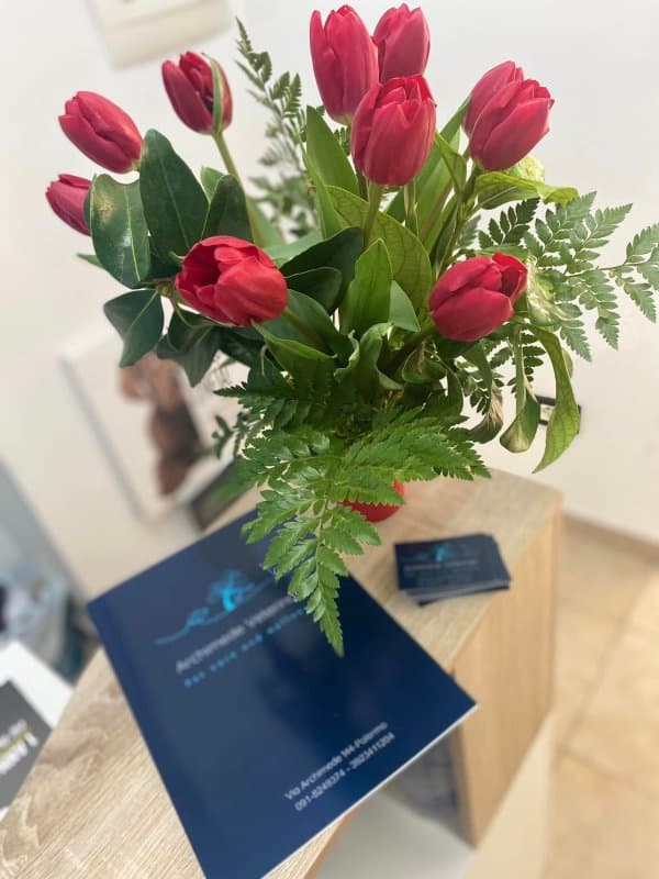 Archimede Veterinari D.ssa Cinquemani Ilaria - Immagine 1