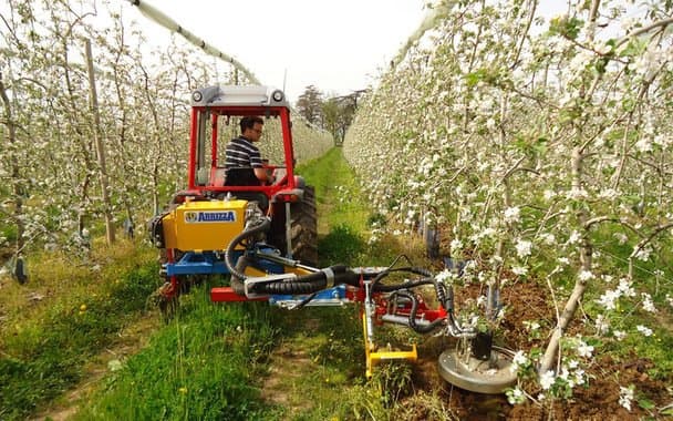 Arrizza srl - Immagine 2