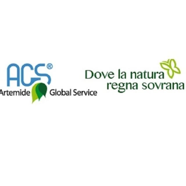 Artemide Global Service - Immagine 2