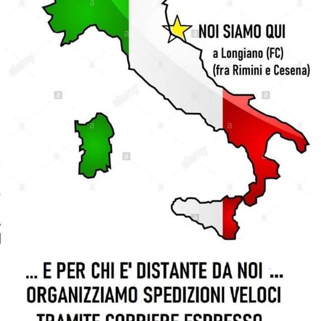 Autodemolizione Decarli & Vendita Ricambi Usati - Immagine 2