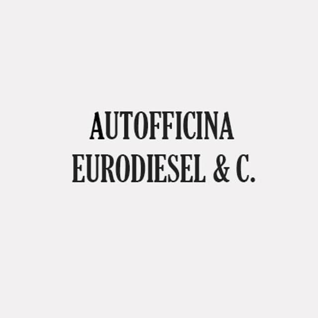 Autofficina Eurodiesel e C. - Immagine 1