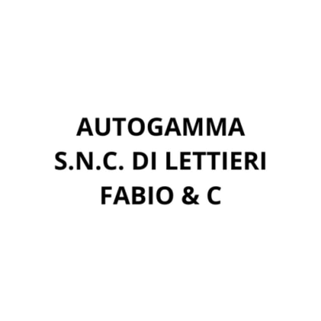 Autogamma S.n.c. di Lettieri Fabio & C - Immagine 2