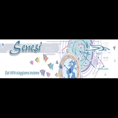 Autonoleggio Senesi Ncc - Immagine 1