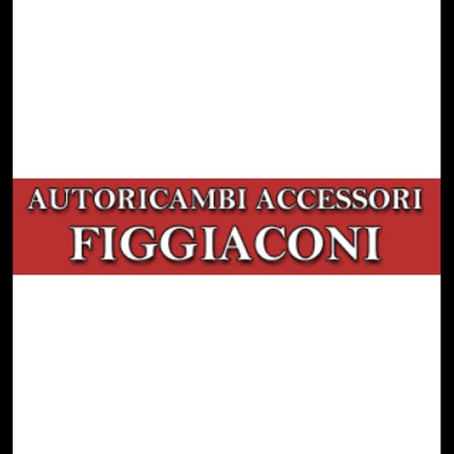Autoricambi Accessori Figgiaconi - Immagine 2