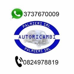 Autoricambi Palmieri Srl - Immagine 1