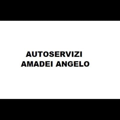 Autoservizi Amadei Angelo - Immagine 1