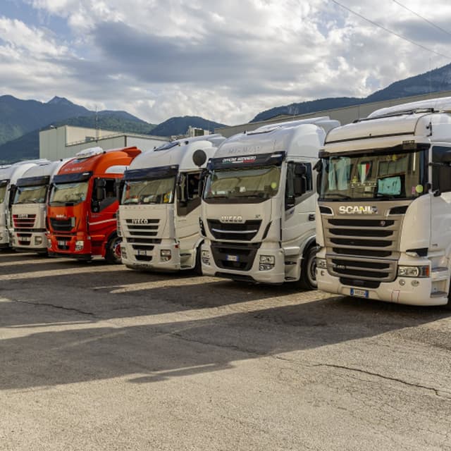 Autotrasporti Detassis Gianfranco - Immagine 2