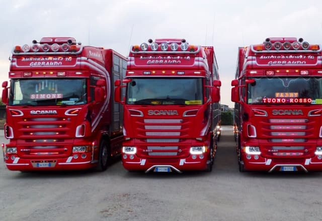 Autotrasporti Suinicoli 2 G - Immagine 2