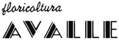 Avalle Floricoltura - Vivaio - Immagine 1