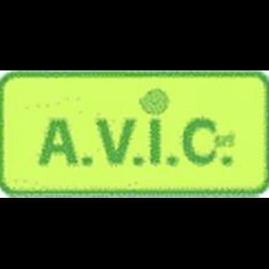 A.V.I.C. - Immagine 1