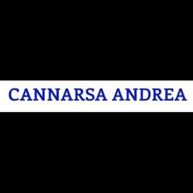 Avv. Cannarsa Andrea - Immagine 2