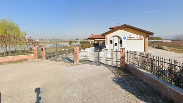 Azienda Agricola Accordi Renato e Figli - Vendita Frutta e Verdura - Immagine 1