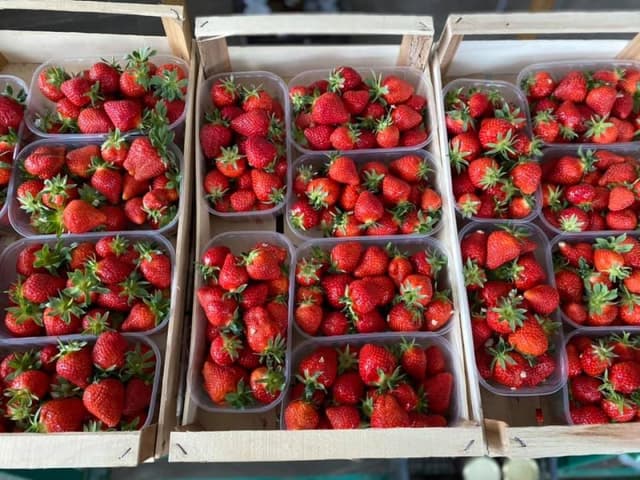 Azienda Agricola Argazzi - Immagine 2