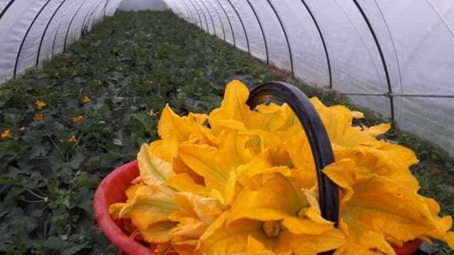 Azienda Agricola Barone - Immagine 1