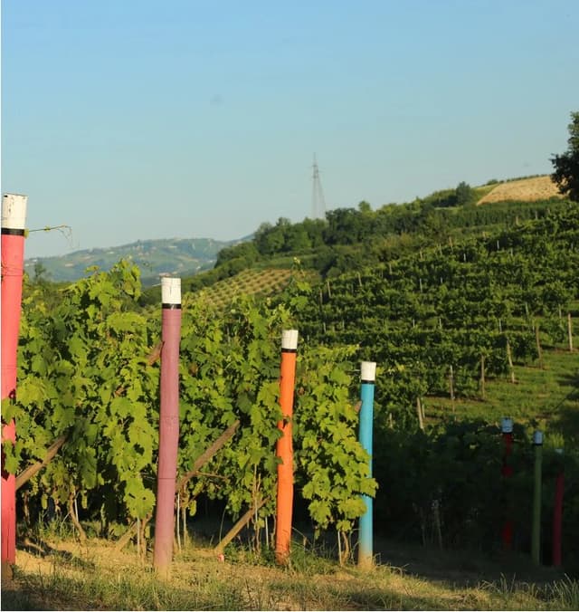 Azienda Agricola Bosco Giovanna - Immagine 1