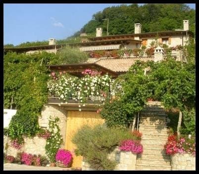 Azienda Agricola Ca' dei Fiori S.S. - Immagine 2