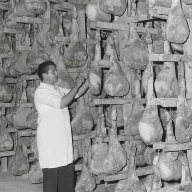 Azienda Agricola Castellani Dino - Immagine 1