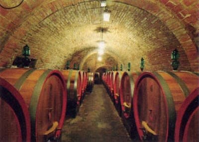 Azienda Agricola Ercolani - Immagine 2