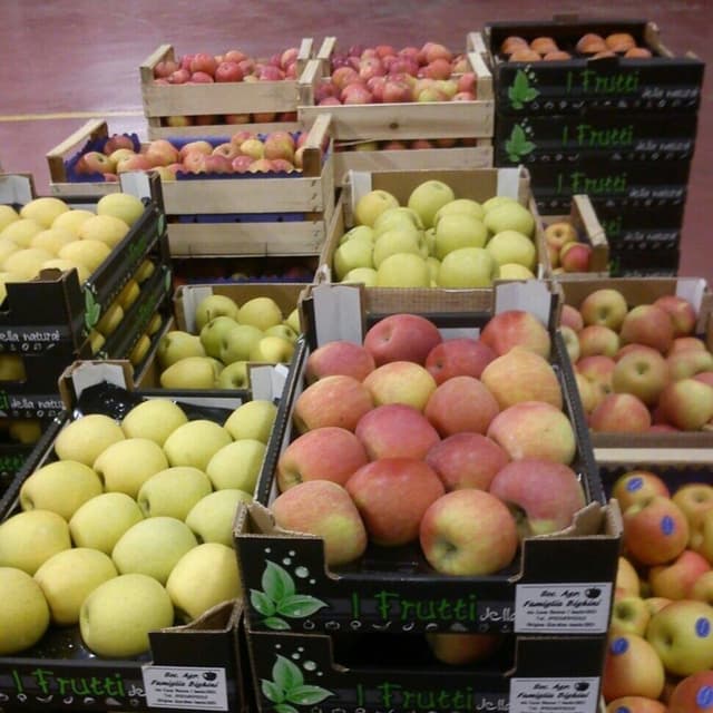 Azienda Agricola Famiglia Bighini - Immagine 2