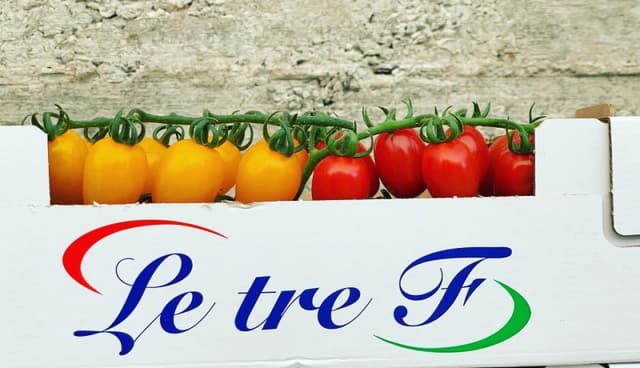 Azienda Agricola Forforelli - Immagine 2