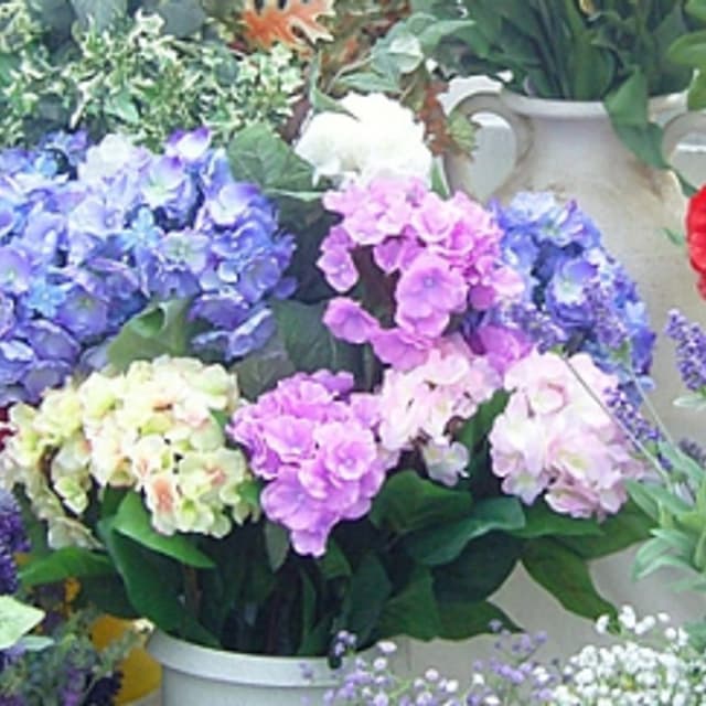 Azienda Agricola Freschi - Immagine 2