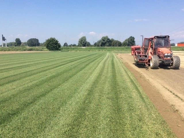 Azienda Agricola Luca Meinardi Già Almondo Mainardi - Prati in Rotolo - Immagine 2