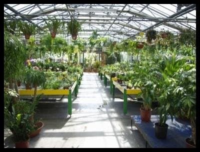 Azienda Agricola Mazzieri Mauro - Immagine 2